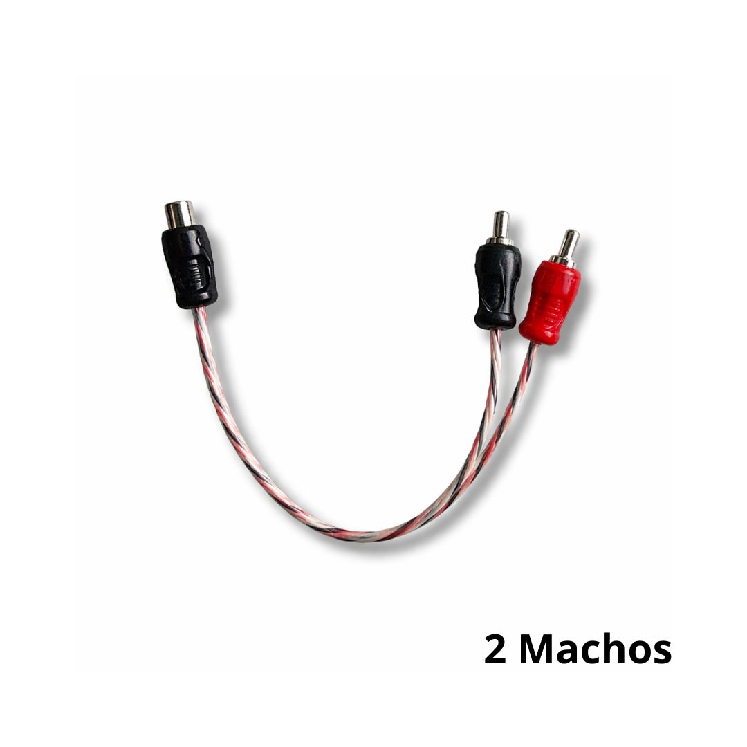 Sem nome ( x px) () Sem nome ( x px) ()